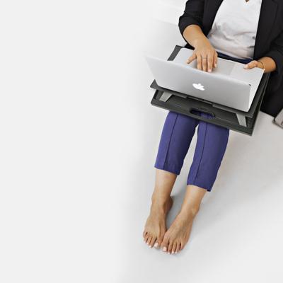 Draagbare Koeler NGS LAPNEST Plastic