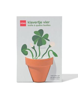 HEMA Groeipot klavertjevier