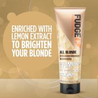 Shampoo Fudge Professional All Blonde Colour Boost 250 ml - thumbnail