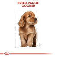 Royal Canin Puppy Cocker Spaniel hondenvoer 3 kg - thumbnail