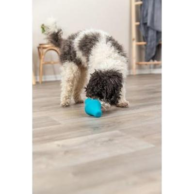 TRIXIE SNACKTOL NATUURRUBBER PETROL 12 CM