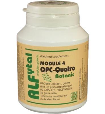Alfytal OPC-quatro botanic met 4 polyfenolen 90 Vegetarische capsules Alfytal OPC-quatro botanic met 4 polyfenolen 90 Vegetarische capsules