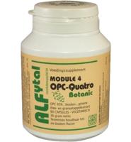 Alfytal OPC-quatro botanic met 4 polyfenolen 90 Vegetarische capsules - thumbnail