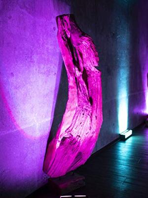 Eurolite AKKU Bar-6 Glow QCL Flex QuickDMX - thumbnail