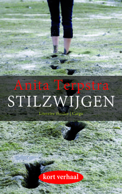 Stilzwijgen - Anita Terpstra - ebook