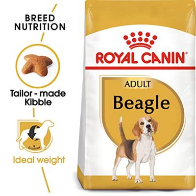 Royal Canin Beagle Adult hondenvoer 12kg - thumbnail
