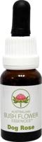 Australian Bush Dog rose 15 Milliliter - thumbnail