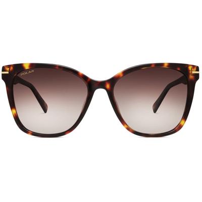 Polar zonnebril Gold 105 dames cat. 4 wayfarer donkerbruin Polar zonnebril Gold 105 dames cat. 4 wayfarer donkerbruin
