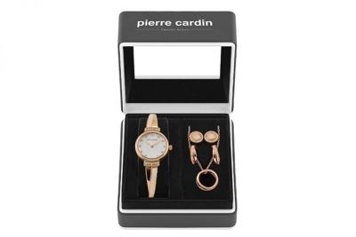 Pierre Cardin Horloge PCX6857L295K