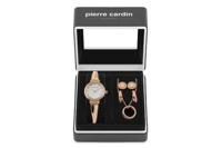 Pierre Cardin Horloge PCX6857L295K - thumbnail