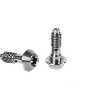 Elvedes banjo-bout magura rvs 10 stuks elv2019115 - thumbnail