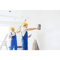 Basetech OG-430 TO-6481299 Detectieapparaat - thumbnail