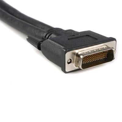 StarTech.com DMS-59 Adapter Y-kabel - DMS59 LFH59 (DMS60/LFH60) (stekker) 59 pin naar 2 x VGA (vrouwelijk) 15 pin - splitter - kabellengte 30cm