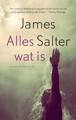 Alles wat is - James Salter - ebook
