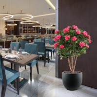 Rhododendron Kunstplant Deluxe 115cm Cerise - thumbnail