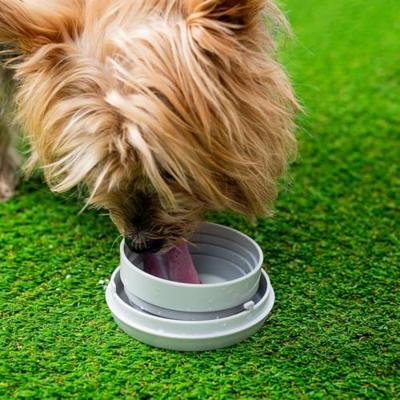 6-in-1 intrekbare hondenriem Leashic InnovaGoods (8435527826956)