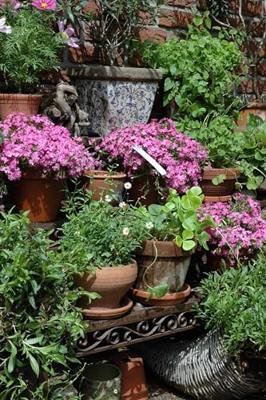 Rechthoekige etagère / Esschert Design Rechthoekige etagère / Esschert Design