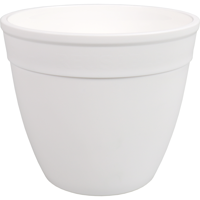 Öko Bowl | PP | 600ml | rond | wit | 20 stuks - thumbnail