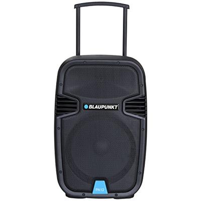Blaupunkt PA12 draagbare luidspreker 650 W Draadloze stereoluidspreker Zwart