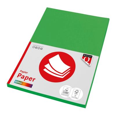 Kopieerpapier Quantore Colour A4 160gr grasgroen 50 vel | 10 stuks
