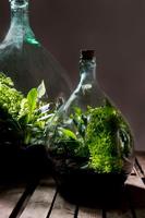 Esschert Design plant terrarium potgrond - thumbnail