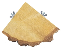 Bzn rustplank hout 1/4 rond - thumbnail