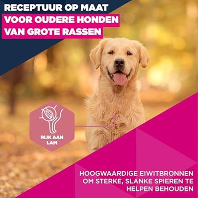 Eukanuba Senior Large met lam en rijst hondenvoer 12 kg Eukanuba Senior Large met lam en rijst hondenvoer 12 kg
