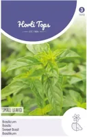 Zaden Basilicum fijnbladig Hortitops - Hortitops - thumbnail