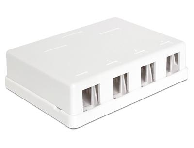 DeLOCK Keystone Surface Mounted Box 4 Port behuizing DeLOCK Keystone Surface Mounted Box 4 Port behuizing