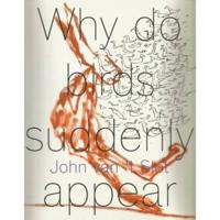 John van 't Slot - Why do birds suddenly appear? (Paperback) - thumbnail