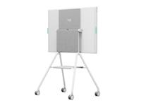 Webcam Logitech 952-000251 - thumbnail