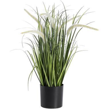 Kunstplant Siergras met pluim in pot - groen/zwart - 60 cm - Leen Bakker