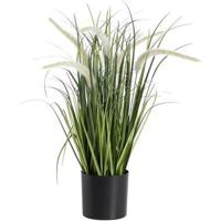 Kunstplant Siergras met pluim in pot - groen/zwart - 60 cm - Leen Bakker - thumbnail