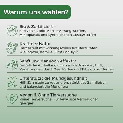 Vegan Tandpasta Poeder Gember BIO