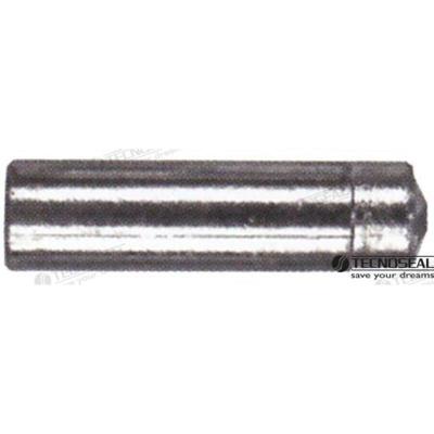 TEN02353 - LOMBARDINI ZINKANODE TEN02353T