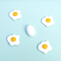 Ei magneten (set van 5) - thumbnail