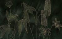 Komar Infinity 2 Fotobehang Darkest Green - IF4-089 - thumbnail