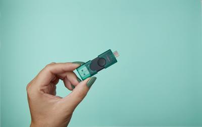 USB stick Kingston DTDEG2/256GB Zwart Groen 256 GB USB stick Kingston DTDEG2/256GB Zwart Groen 256 GB