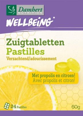 Wellbeing zuigtabletten verzachtend 24 Pastilles