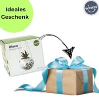 Discobal bloempot met standaard en ketting - thumbnail