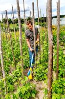 Gloria Haus und Garten 000220.0000 Gardenboy PLUS Krabber - thumbnail