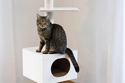 Kerbl Pet Krabpaal Ferdi wit, 38 x 38 x 240-260 cm