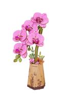 Purple Moth Orchid Robotime - Robotime - thumbnail