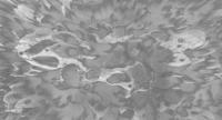 Muance Muance Fotobehang Coral on the wall - MU13096 - thumbnail