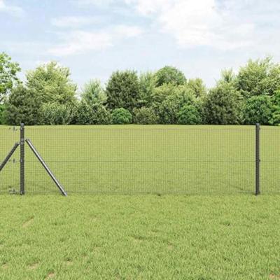 Gelaste draadhek Grijs 0.6 x 50 m