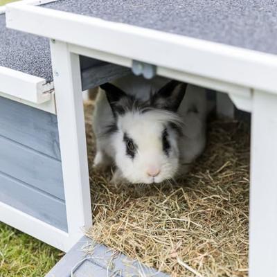 TRIXIE KNAAGDIERHUIS MET 2 INGANGEN GRIJS / WIT - thumbnail