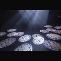 Showtec Shark One Spot LED moving-head - thumbnail