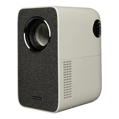 Salora 45BHM2550 Beamer Wit