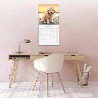 Cockapoo Kalender 2026 - thumbnail