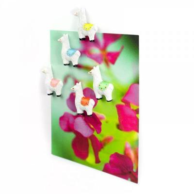 Trendform Magnetische Llama - set van 5 verschillende